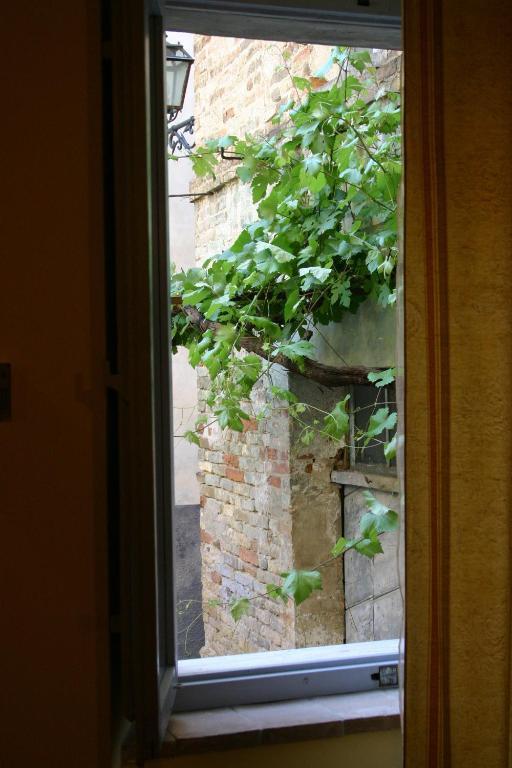La Neviera Nel Pozzo Bed & Breakfast Offida Room photo